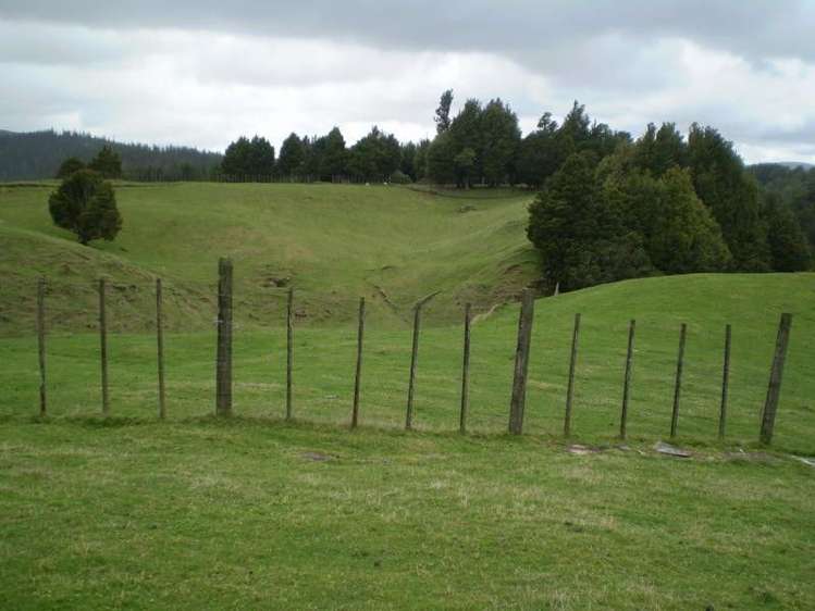 1926 Ongarue Stream Road Waimiha-Ongarue_8