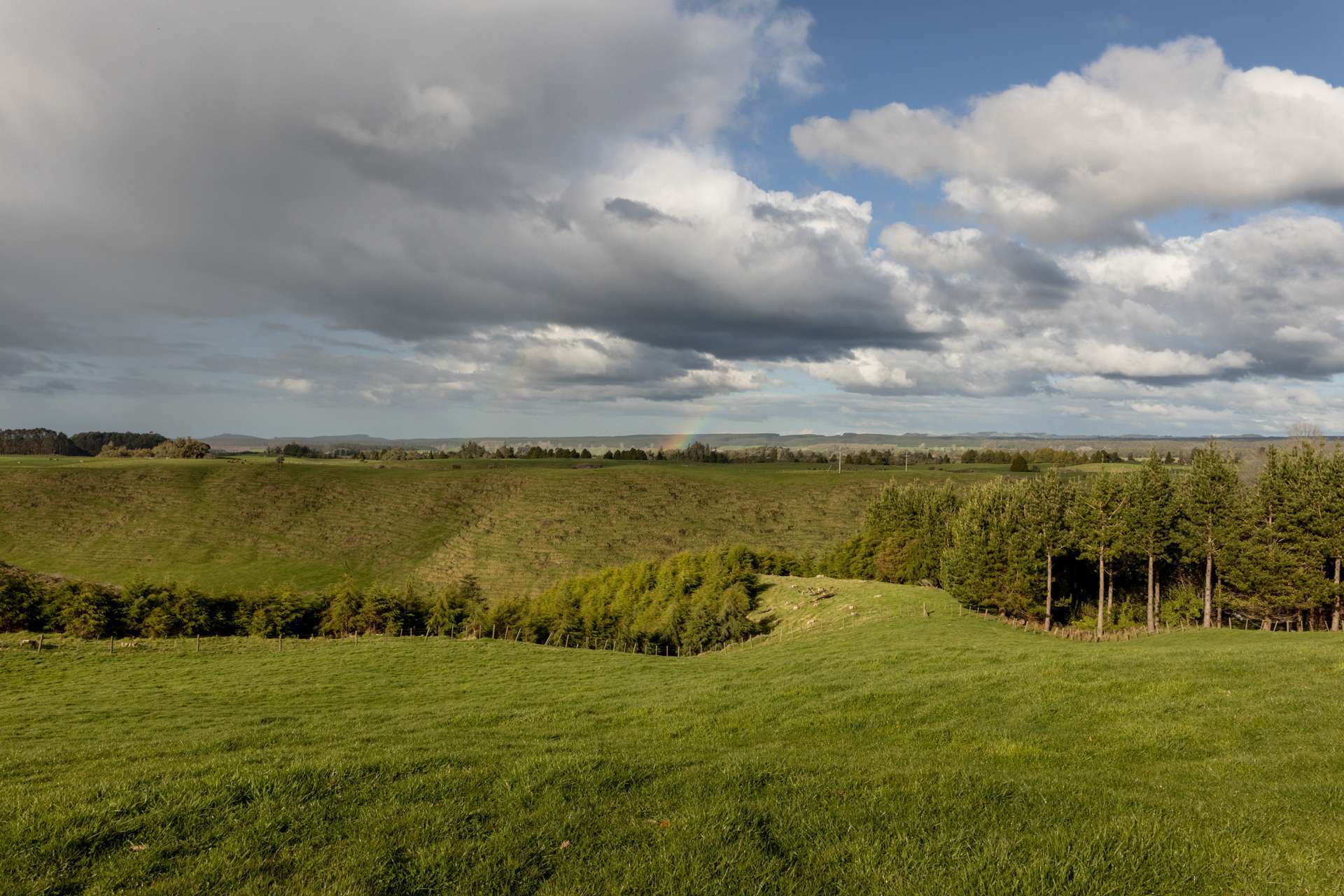 1302/3 Pongakawa Bush Road Pongakawa_0