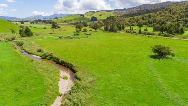 Mangaraupiu Road Eketahuna_10