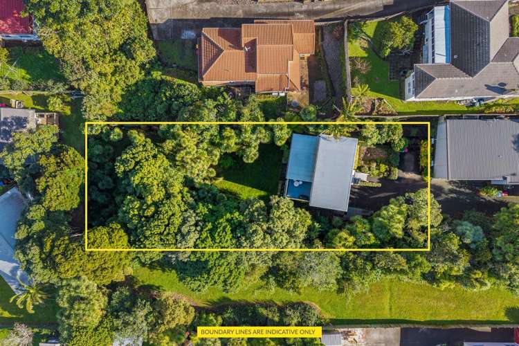 35A Tiverton Road Avondale_18
