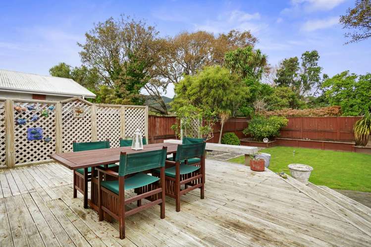 46 Lincoln Avenue Epuni_1