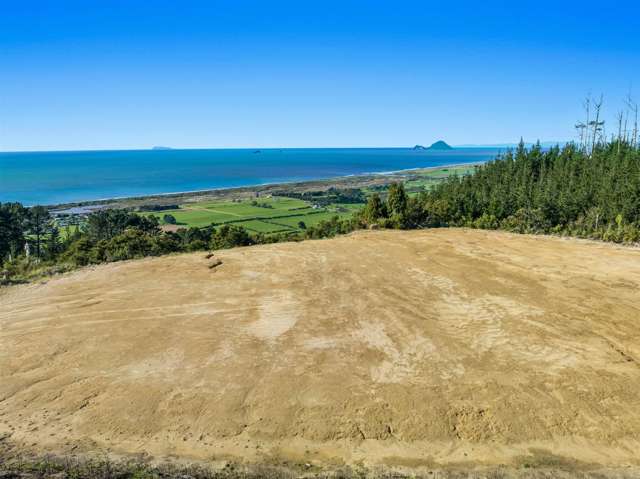 201 Kokako Heights Matata_4