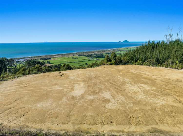 201 Kokako Heights Matata_4