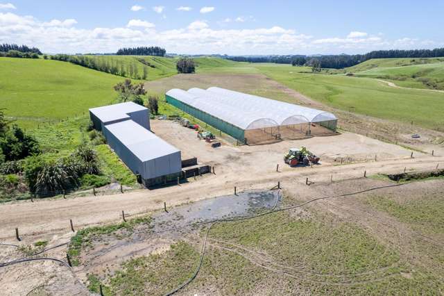 184 South Road No 2 Eketahuna_3