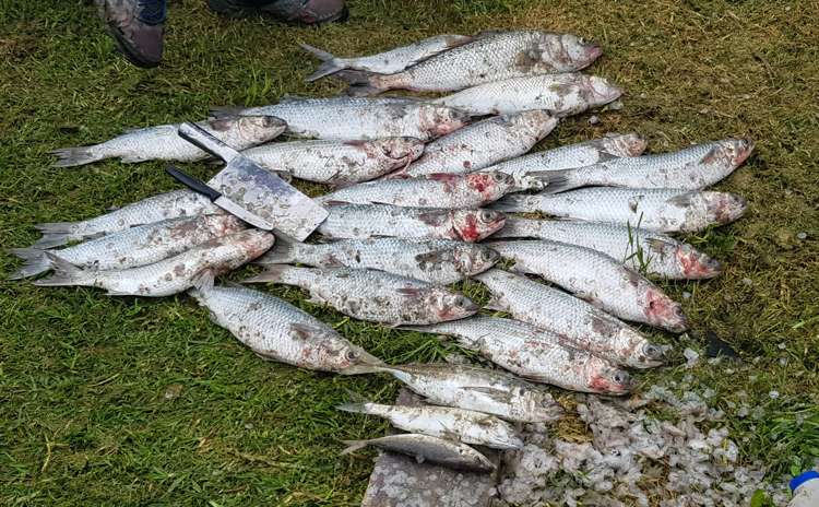 572a Pahi Road Paparoa_17