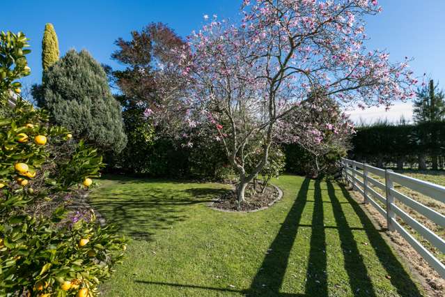 417 Saint Georges Road Havelock North_2