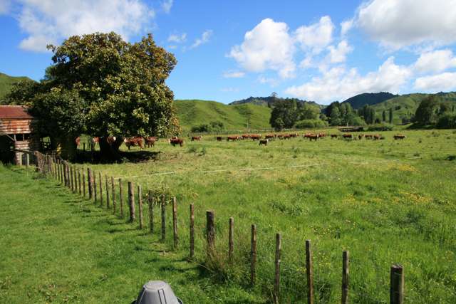 5 Marco Road Ruapehu-King Country Surrounds_3