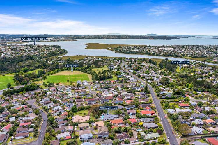 210 Royal Road Massey_27