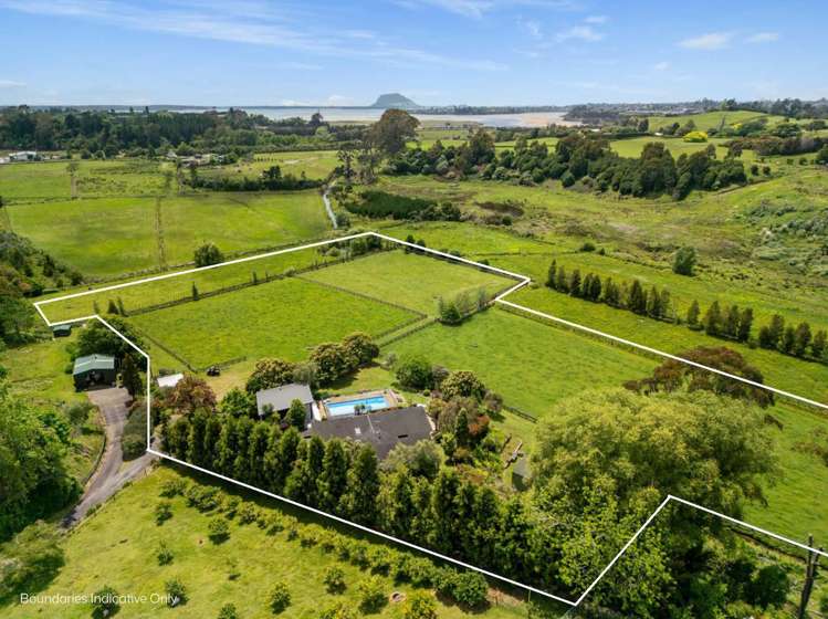 56e Te Puna Road Te Puna_11