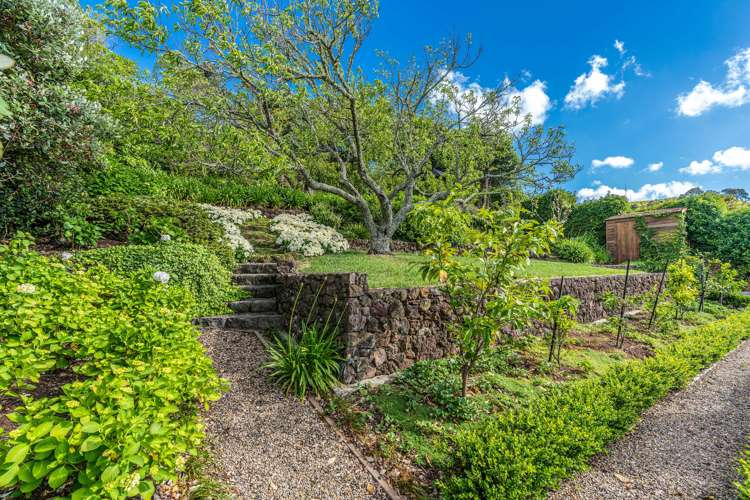 36 Albert Road Devonport_11