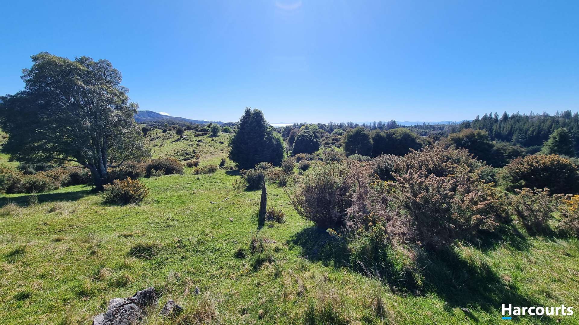 1356 Takaka Hill Highway Motueka_0