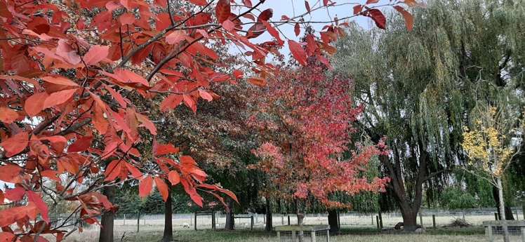 161 Island Road Kaiapoi_33