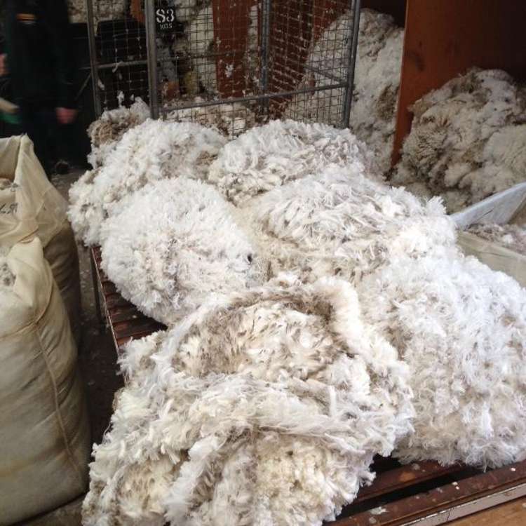 780 Falston Road Totara Peak_33