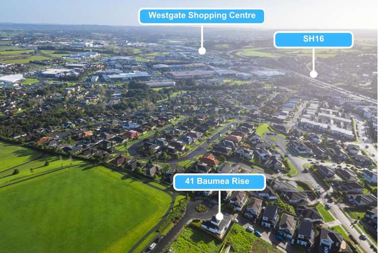 41 Baumea Rise Massey_24