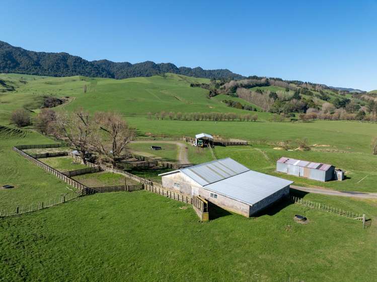134 Old Te Aroha Road Te Poi_2