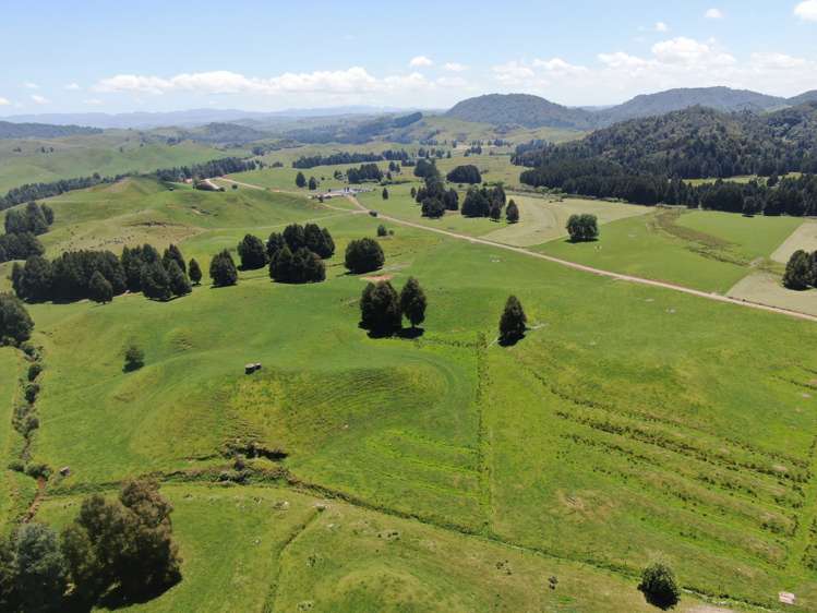 24 Pukeuha Road Aria_21