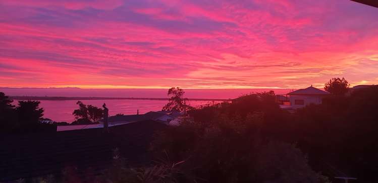 105 Major Hornbrook Road Mount Pleasant_21