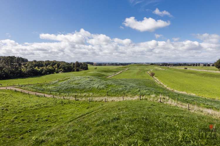 76 Brandon Hall Road Bulls_13