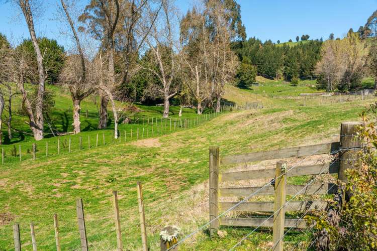 3/67 Forest Road Oruanui_21