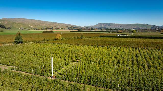 83 Mount Erin Road Havelock North_2