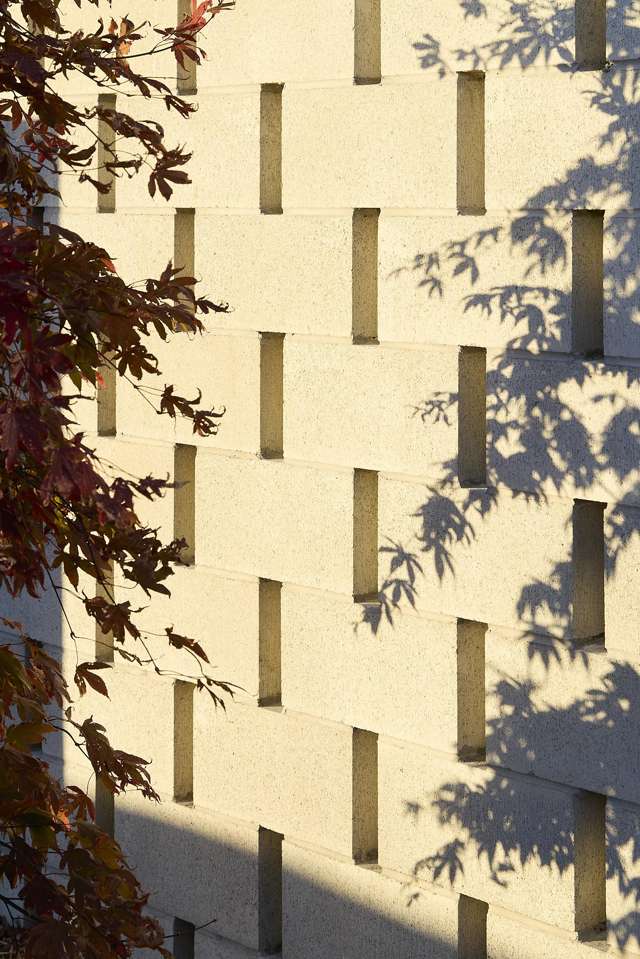 310 Lyttelton Street Spreydon_4