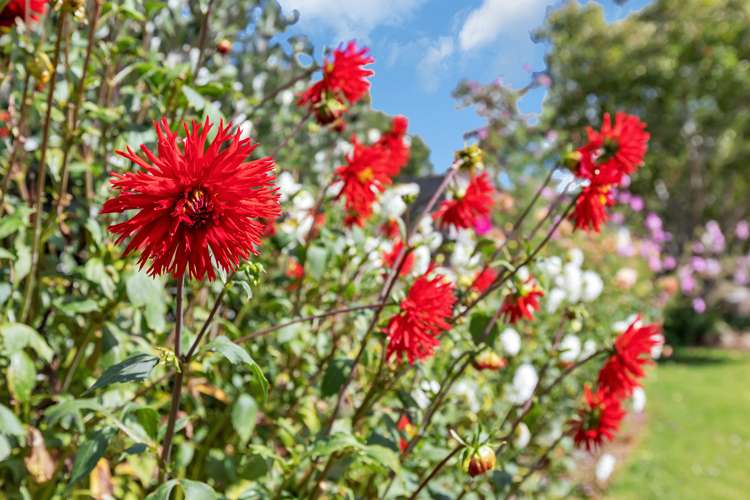 410a Whatitiri Road Poroti_32