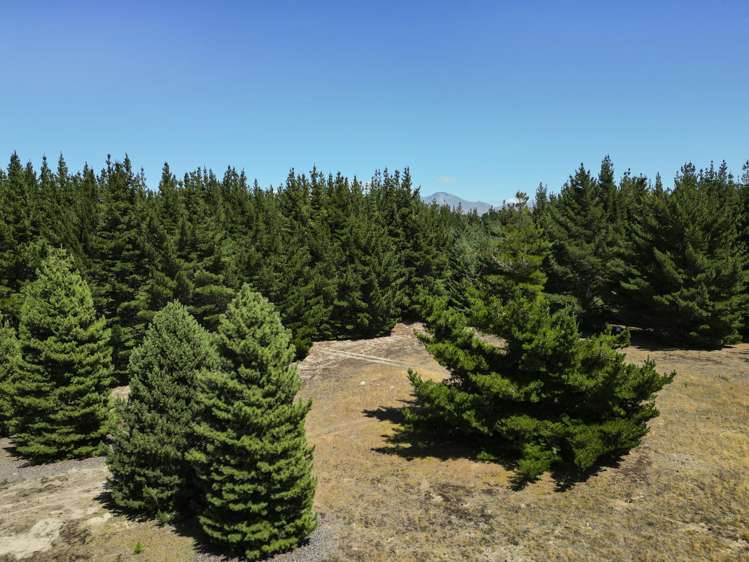174C Camp Hill Road Hawea Flat_8