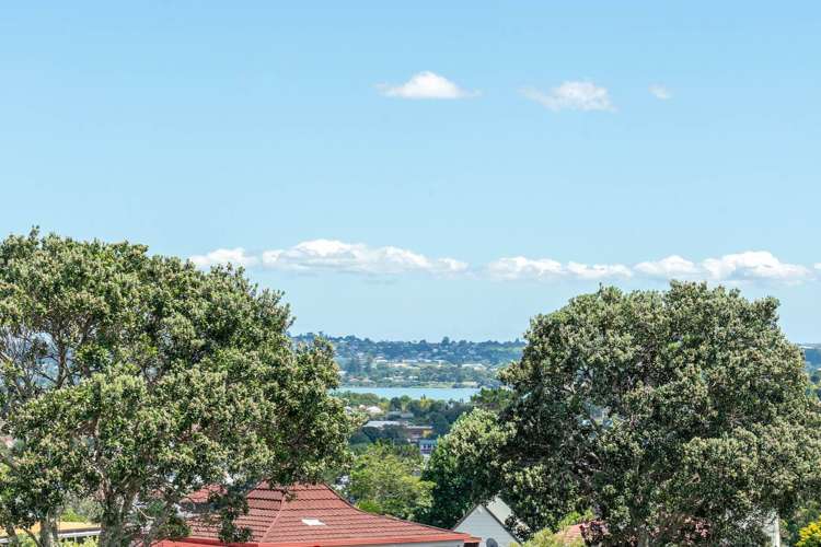 76a Highland Park Drive Highland Park_8