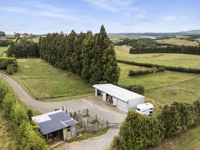 598 Esdaile Road Whakamarama_2