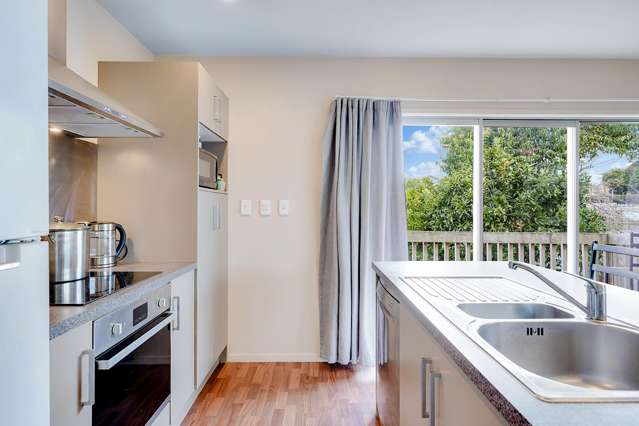 17A Carey Street Maeroa_3