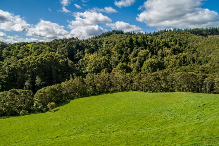 125 Wilson Road Hunua_5