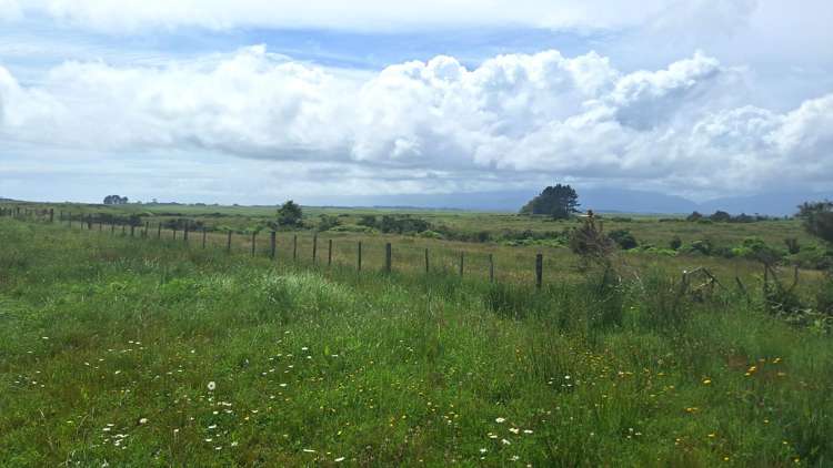 980 Wilsons Lead Road Cape Foulwind_5