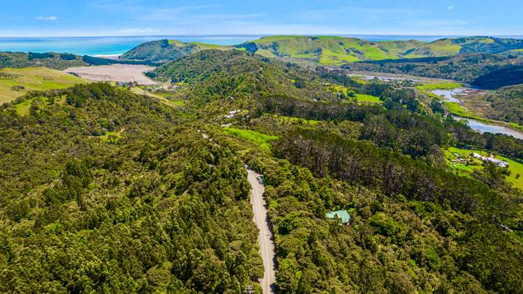 19 Te Aute Ridge Road Waitakere_41