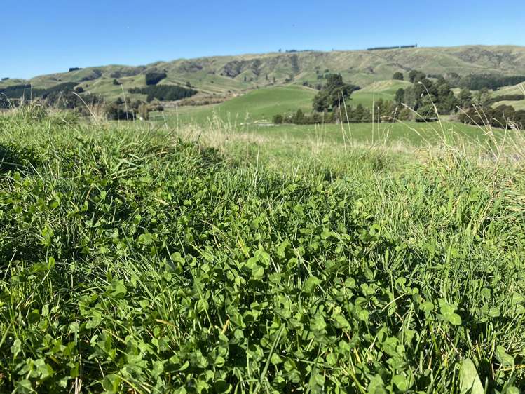 48 Heathfield Road Waipara_19