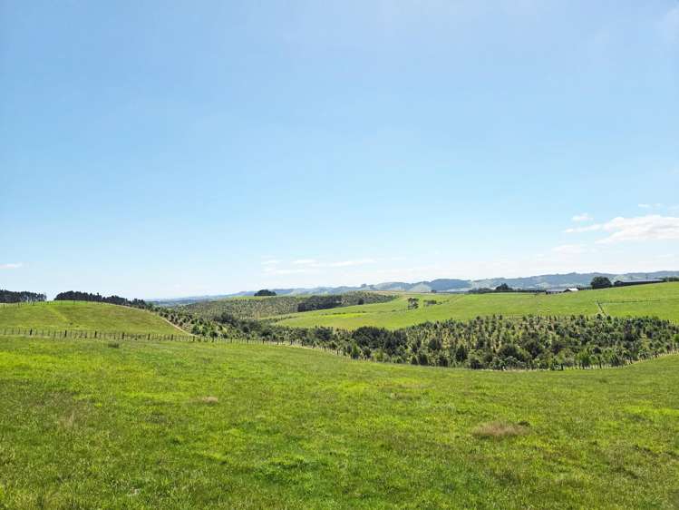 Lot Lot 5/36 Munros Road_2