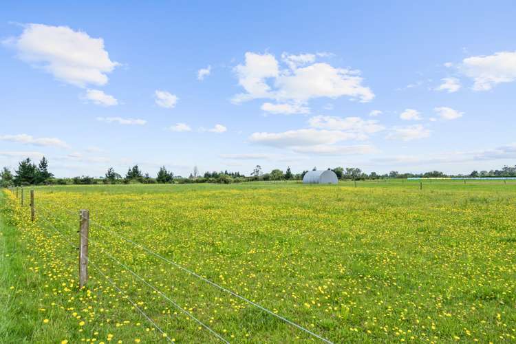 Tower Road Matamata_10