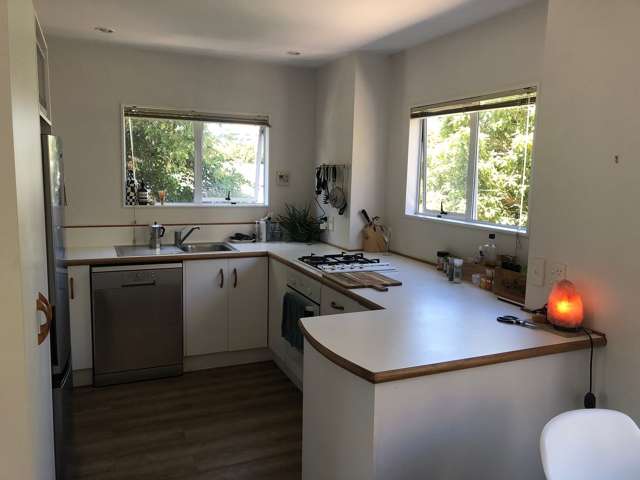 145b Wallace Street Mount Cook_4