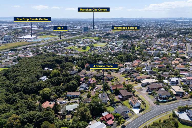 4 Spruce Place Totara Heights_33