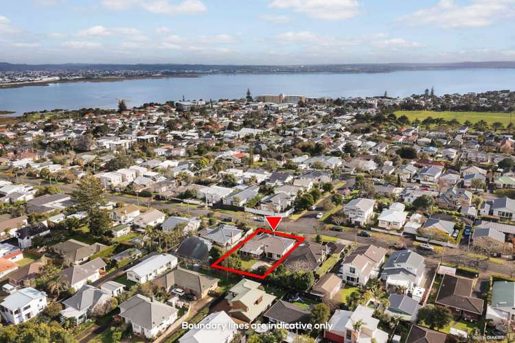 32 Miller Street Point Chevalier_16