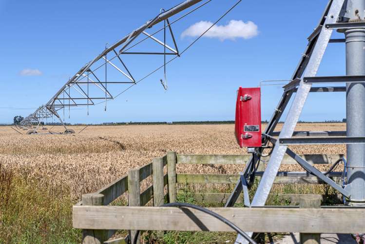 193 Coplands Road Chertsey_9