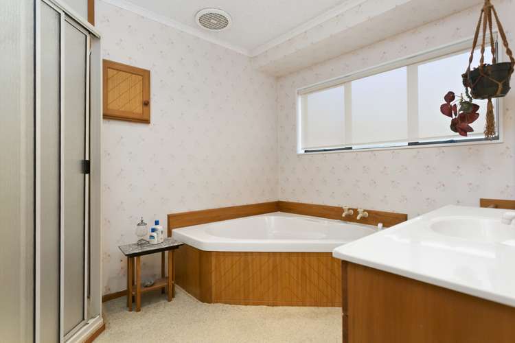 42 Findlater Street Matamata_9