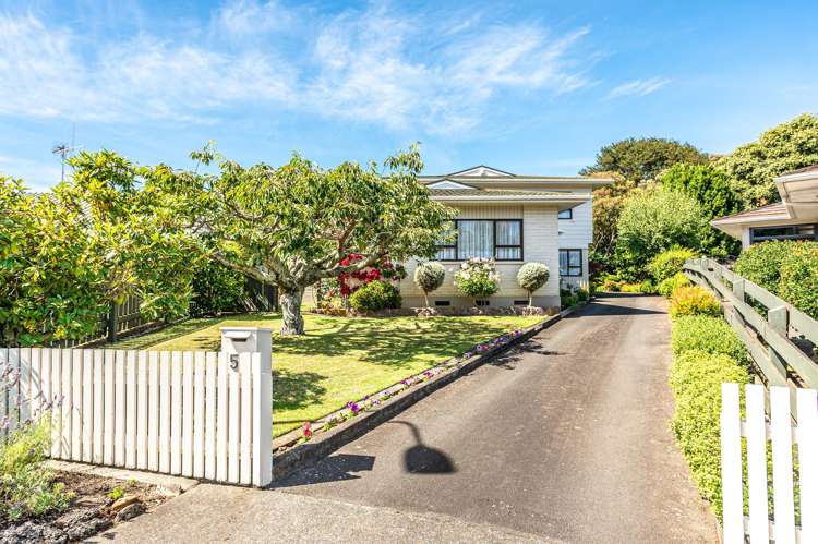 5 Collier Place Saint Johns Hill_17