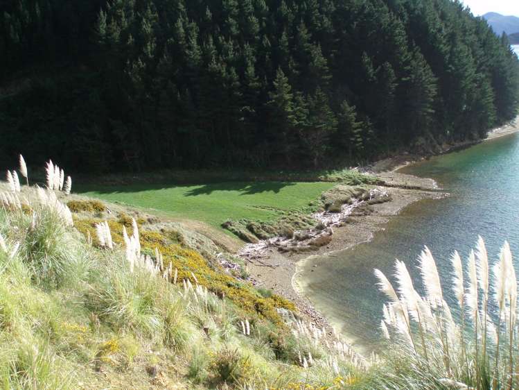 815 Manaroa Road Marlborough Sounds_6