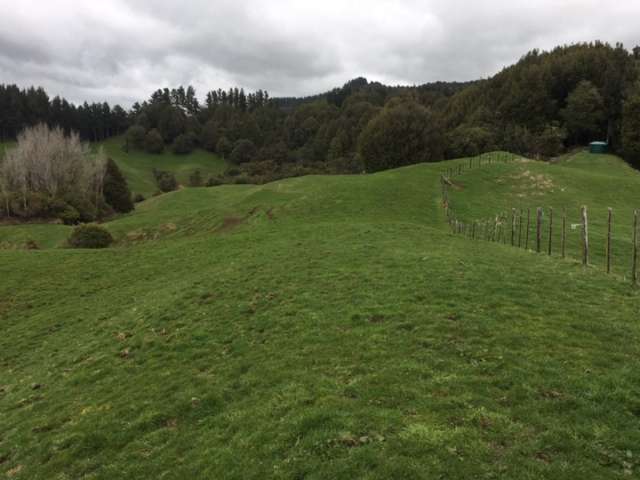 3434 State Highway 4 Aria_4