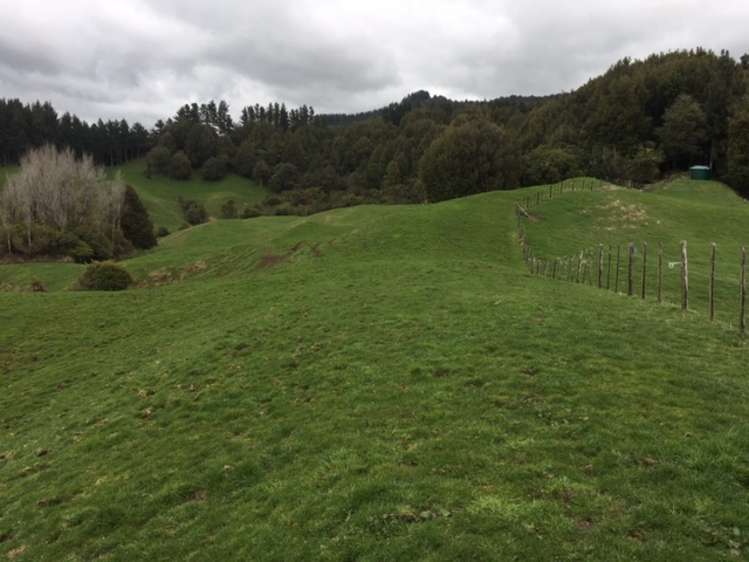 3434 State Highway 4 Aria_4