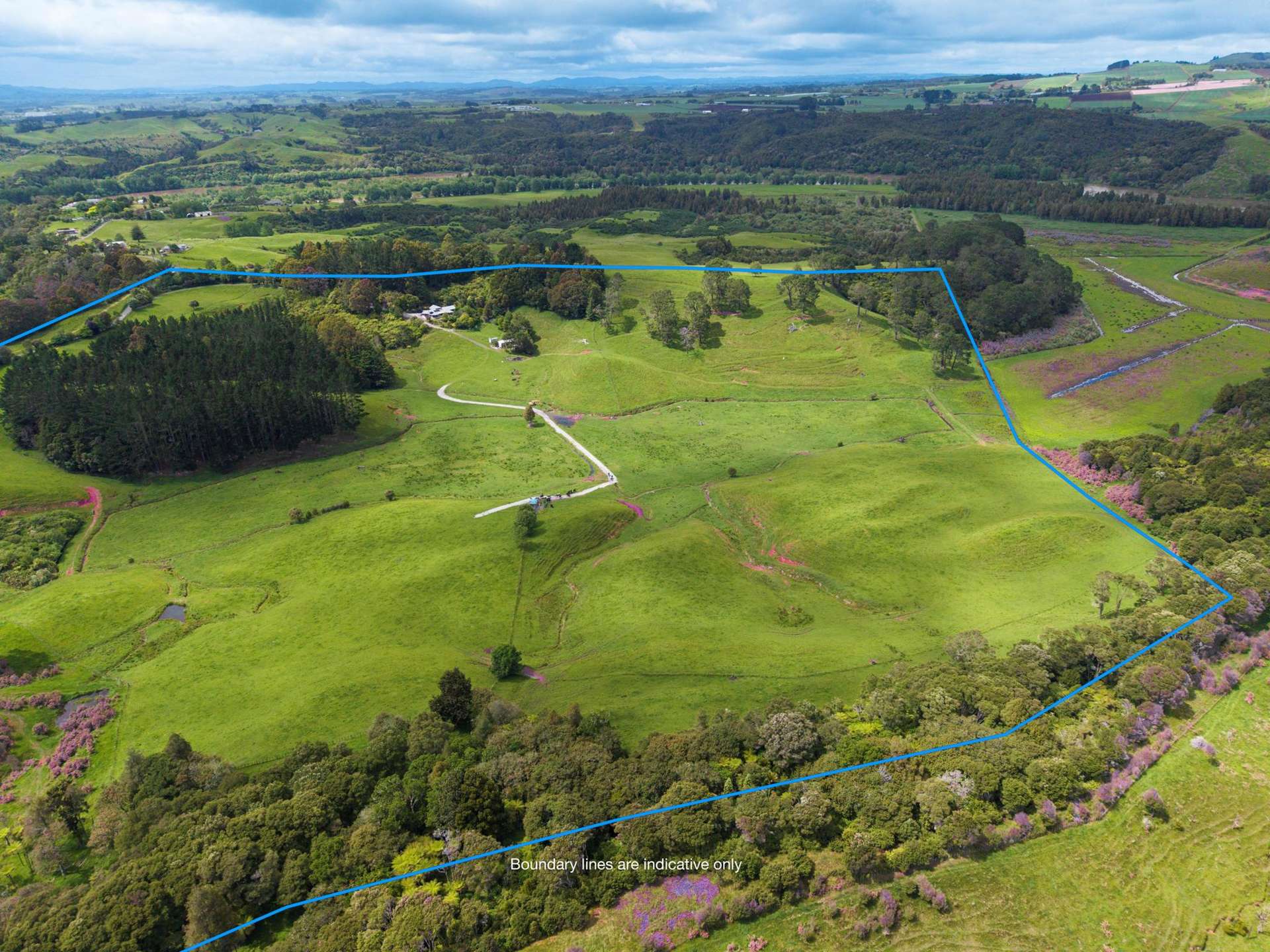 316 Bluff Road Pokeno_0