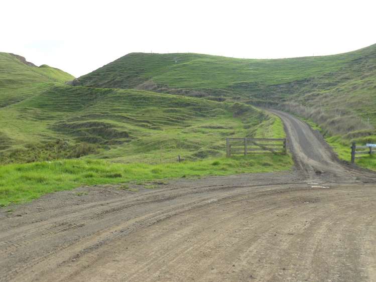 481 Moore Road Pipiwai_13