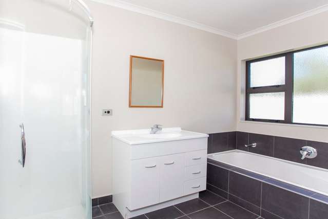 137 Wyndham Street Ashhurst_2