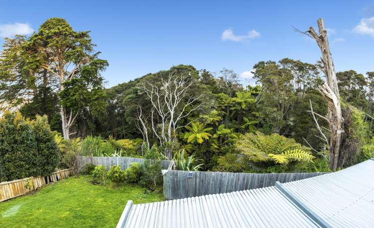 81 Spence Road Henderson_29