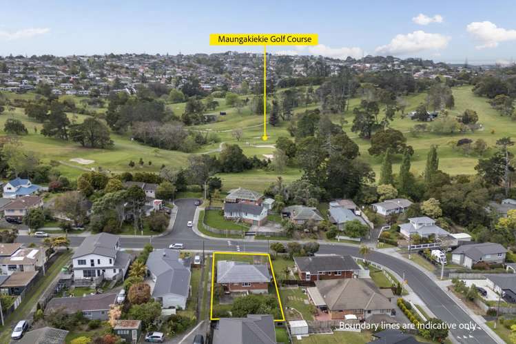 71 Penney Avenue Mount Roskill_19